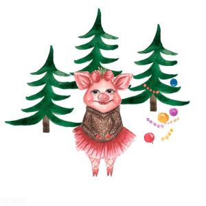 生肖猪致命的弱点