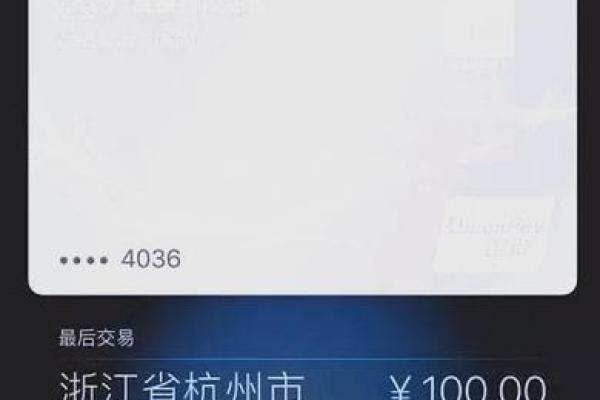 白条闪付是什么意思