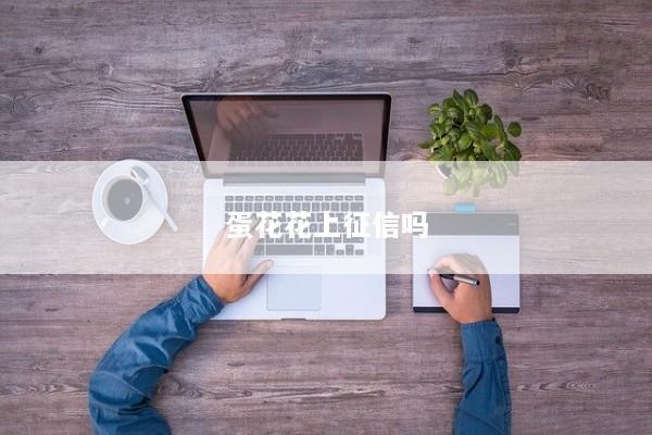 蛋花花上征信吗