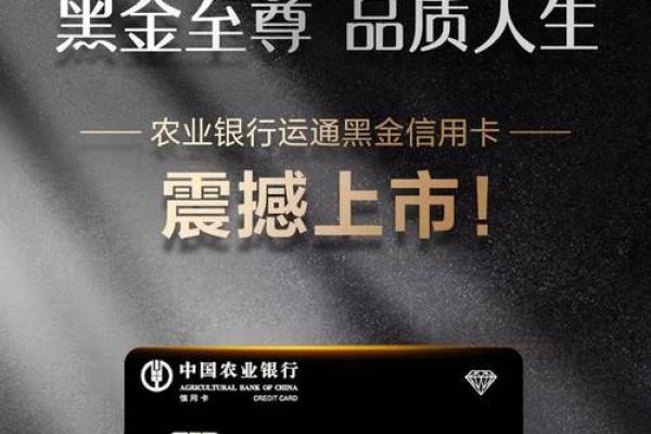 飞机的白金卡需要什么条件