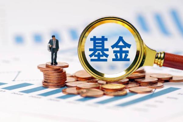 公开募集发行的基金是什么