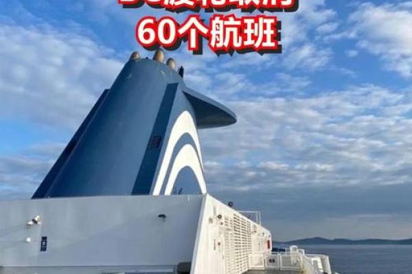 b轮是什么意思啊