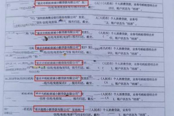 查征信报告也看到花呗吗