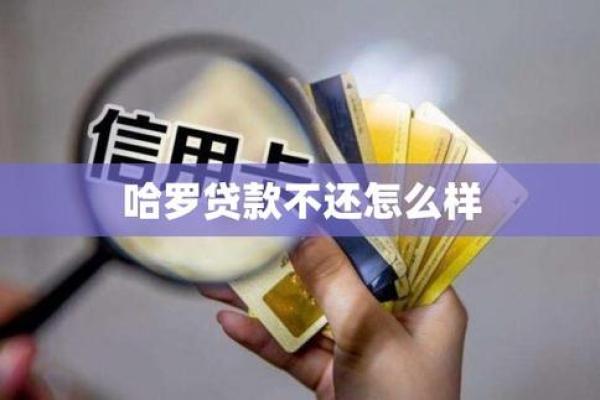 佰仟贷款不还会怎样