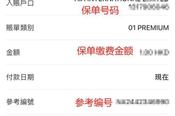 多缴费增加什么账户资金积累