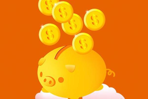 固定资产明细账一般采用什么形式