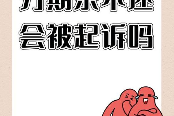 分啦分期不还后果