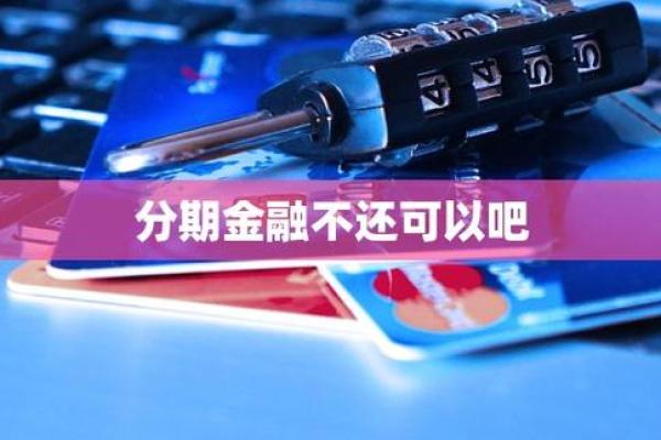 分啦分期不还后果