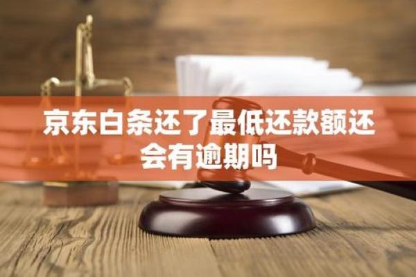 白条不还款会怎样