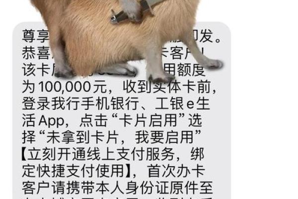 工行虚拟信用卡可以办实卡吗