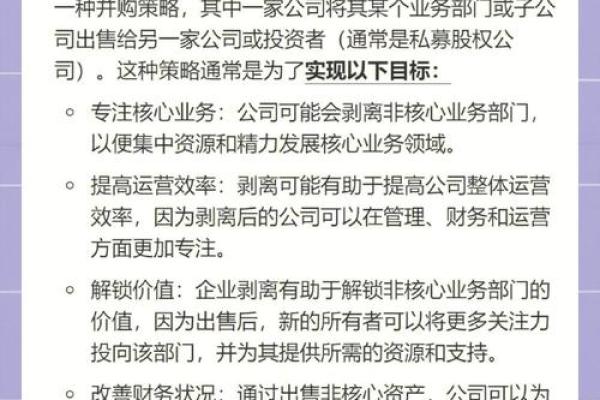 pe项目是什么意思