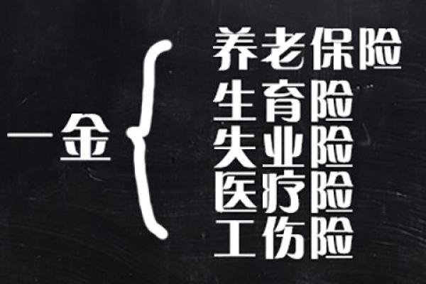 公积金断交有什么影响