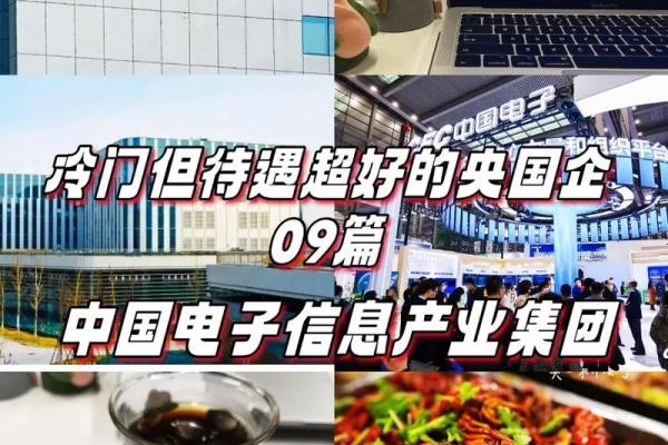 中国电子科技是国企吗