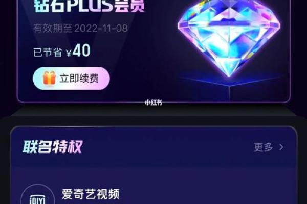 idpa会员是什么意思_2