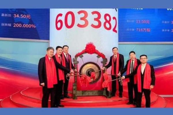 主板上市是什么意思