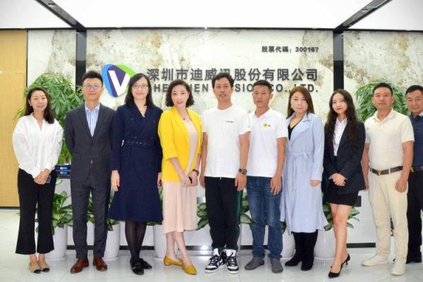 迪威迅是做什么的