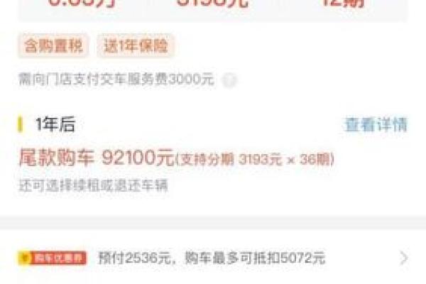 大白汽车分期是什么