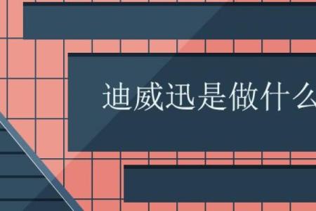 迪威迅是做什么的