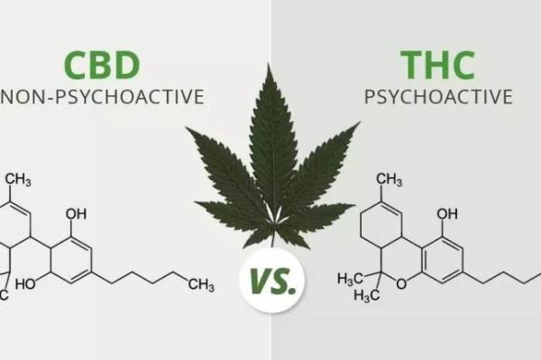 股票大麻是什么意思