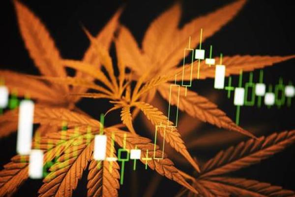 股票大麻是什么意思