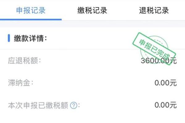 个人所得税一直在税务审核中