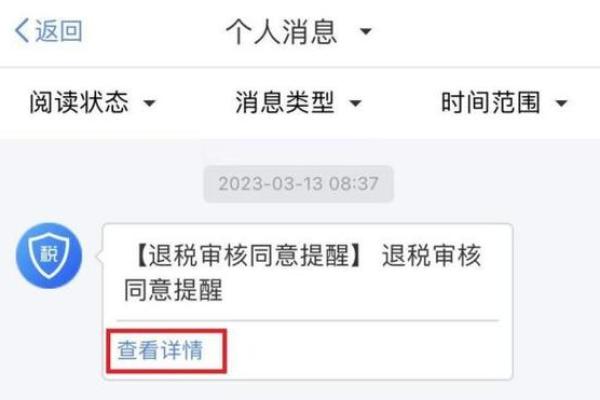 个人所得税一直在税务审核中