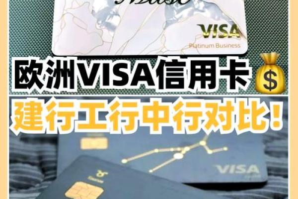 建行欧洲旅行信用卡白金卡年费多少