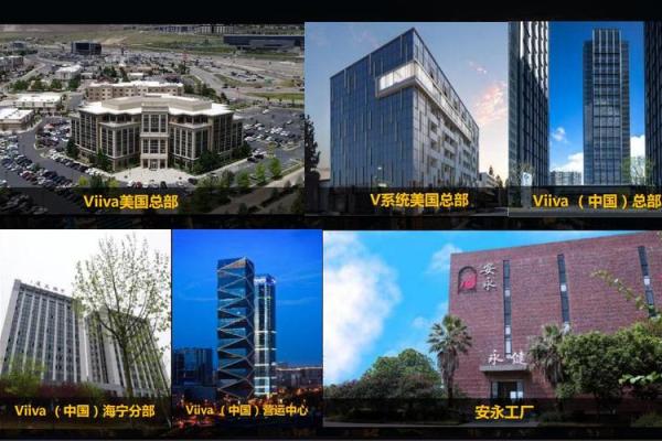 viiva是美国什么公司