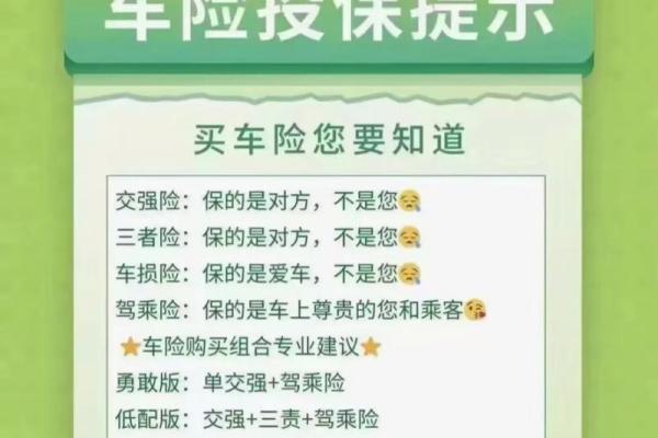 不出险车险优惠多少