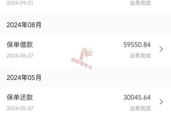 中国人寿可以贷款吗