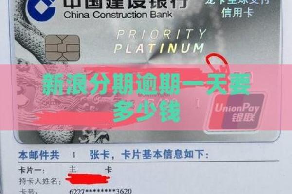 新浪分期打款中是通过了吗
