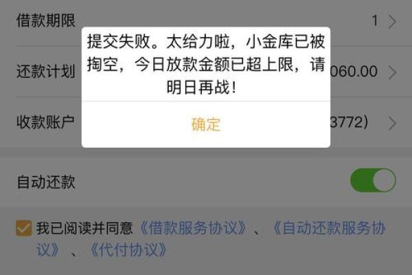 新浪分期打款中是通过了吗