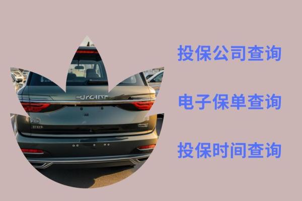 保险公司怎么查既往病