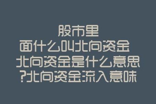 股市北向资金指什么