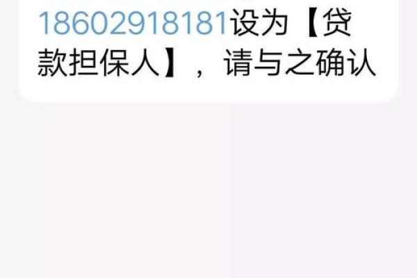 短信票是什么意思
