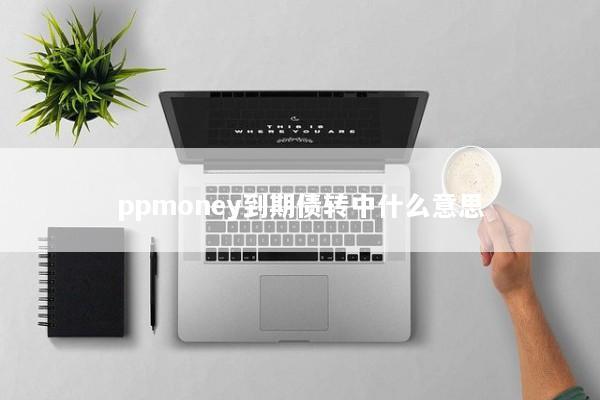 ppmoney到期债转中什么意思