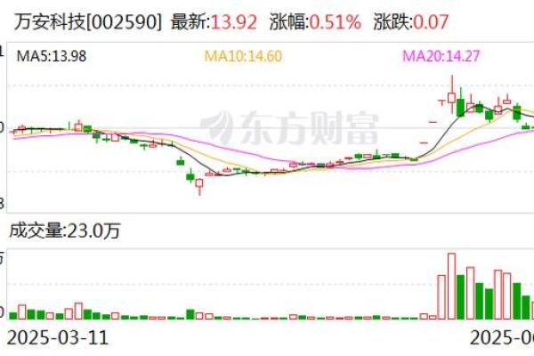 高质押股票什么意思