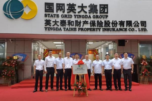 国网英大人寿保险是一家什么公司