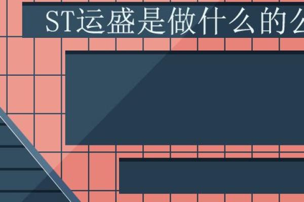 ST运盛是做什么的公司