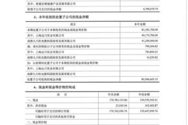 ST运盛是做什么的公司