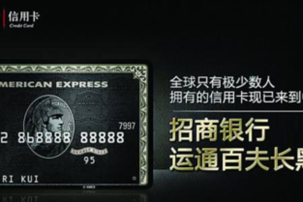 百夫长黑金卡是什么意思