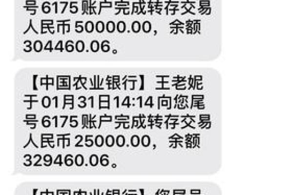 10106008平安金服是干什么的_2
