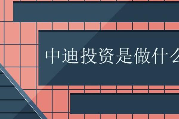 中迪投资是做什么的