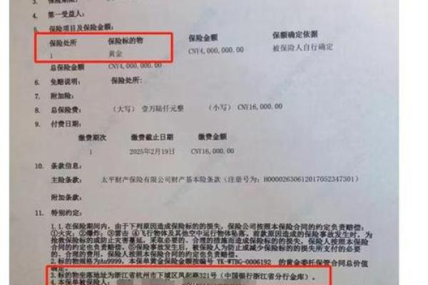 新保承保什么意思