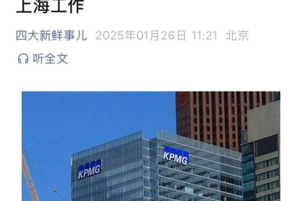 毕马威是什么公司