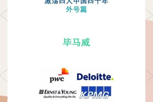 毕马威是什么公司