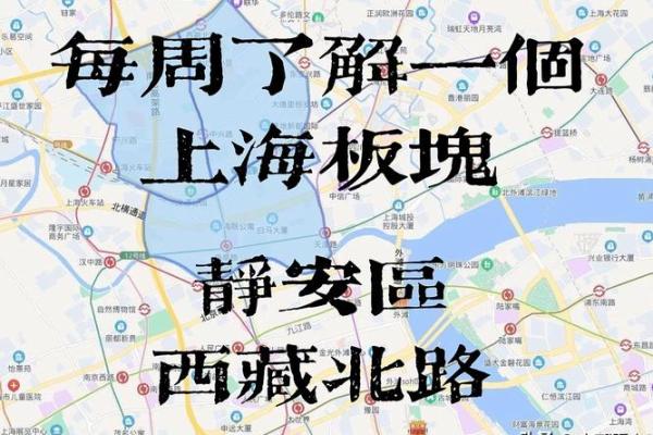 迪生力是什么板块