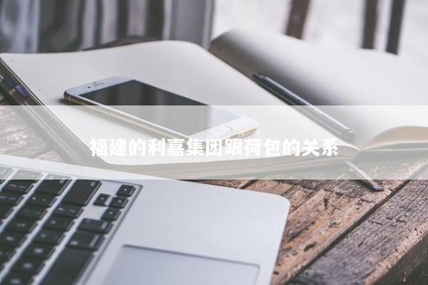 福建的利嘉集团跟荷包的关系