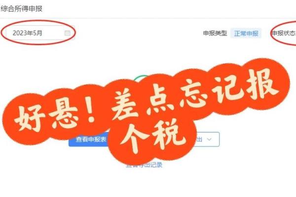 个税漏报怎么补报