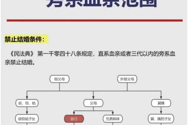 三亲见什么意思